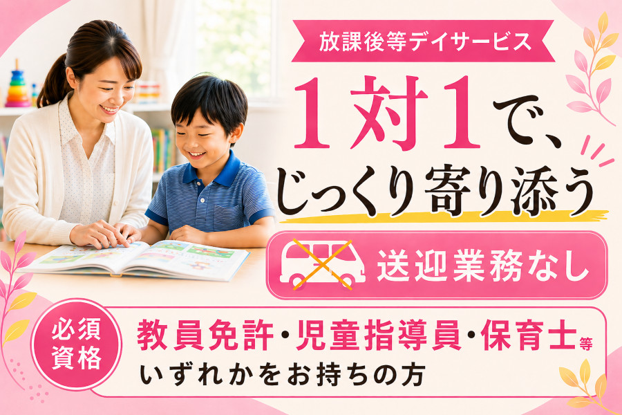 美品 13冊セット 療育 児童発達支援 放課後等デイサービス 児童指導員 保育士 個別指導型の児童指導員 入社祝金30万 賞与実績4.5ヶ月 土日祝休可
